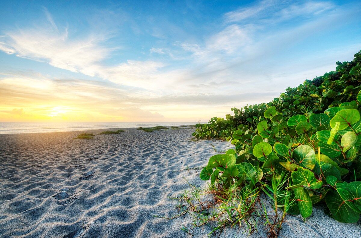 Beaches Minutes Away