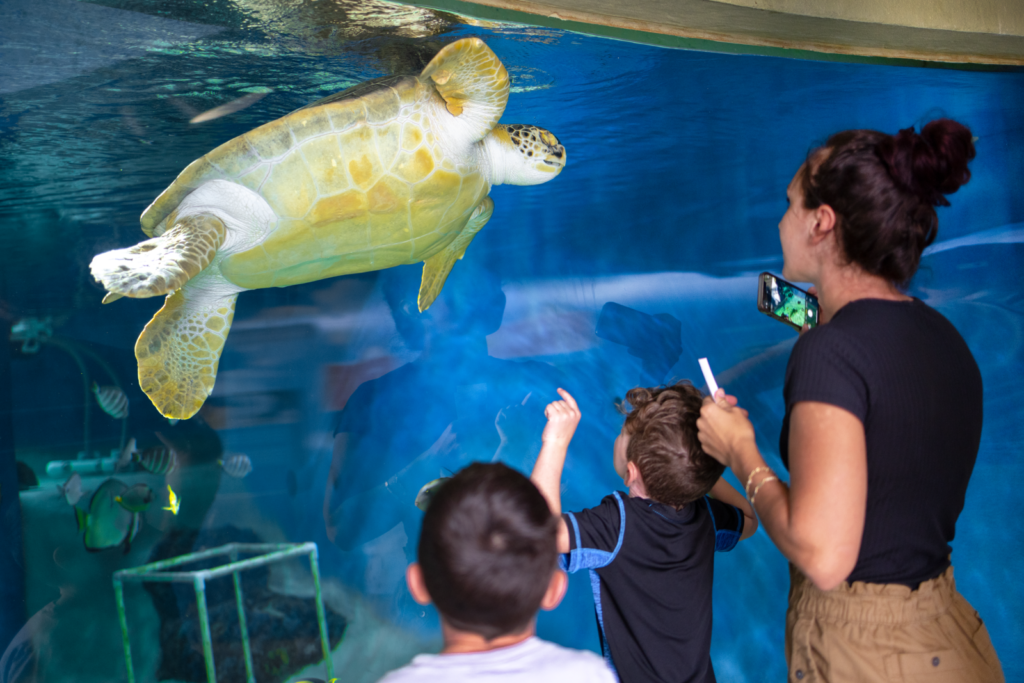 Neal Communities Donates 9,000 to Mote Marine Laboratory and Aquarium