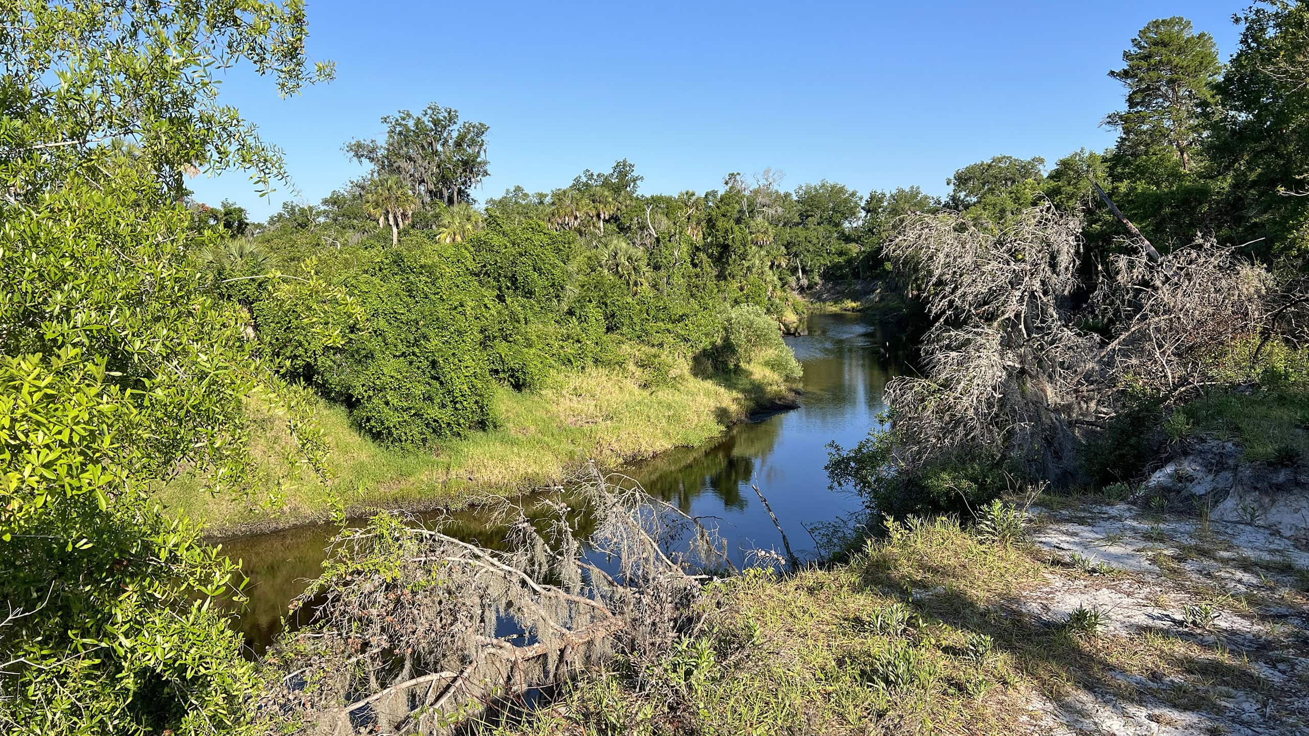 Rye Preserve