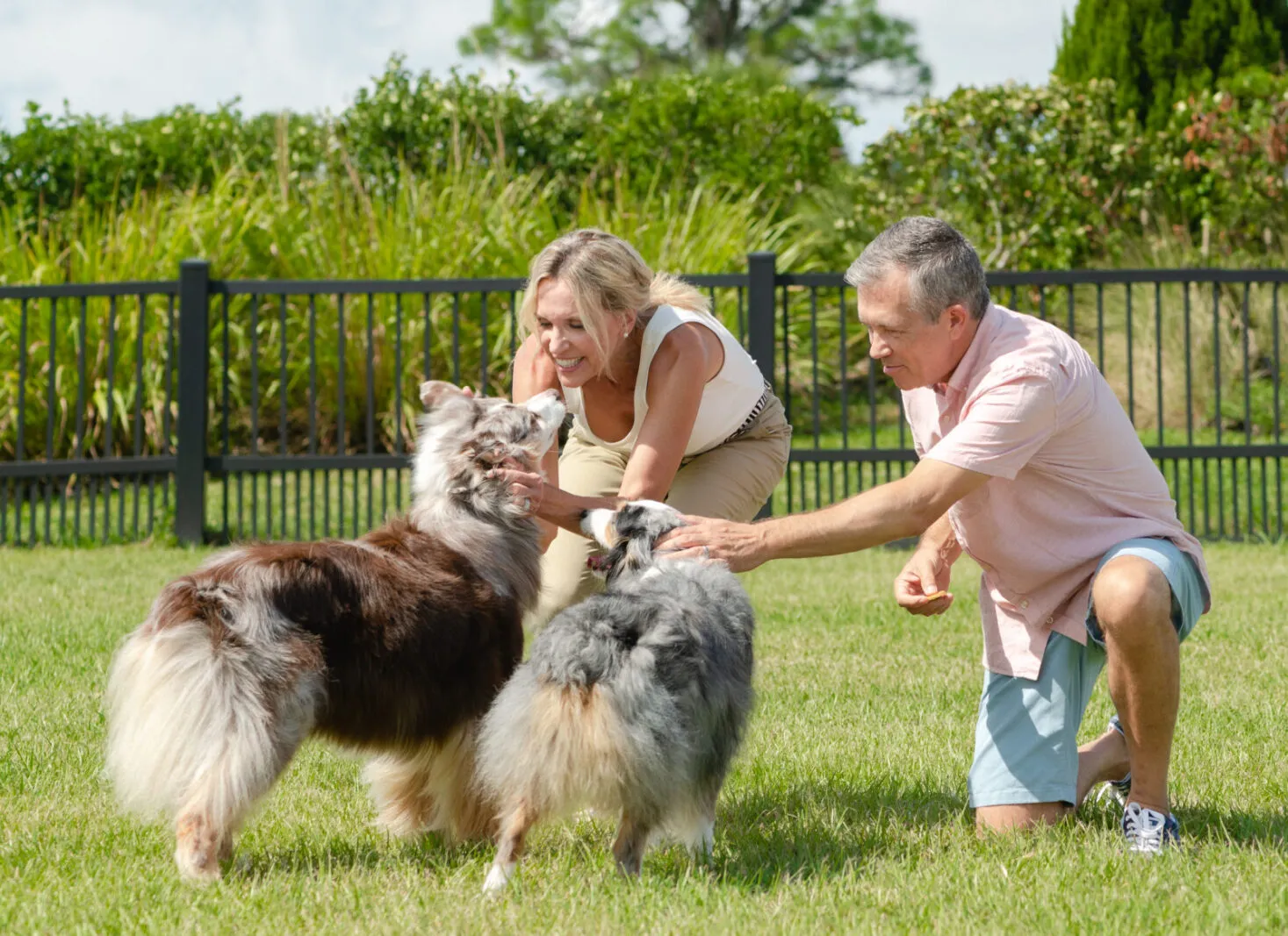 Dog Parks