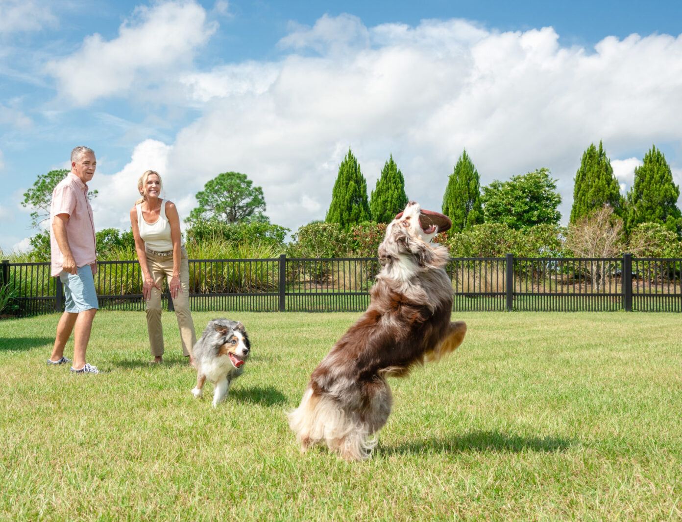 Dog Parks