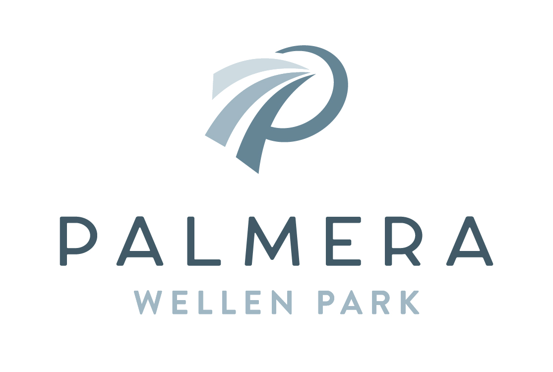 Palmera